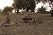 HOEDSPRUIT ENDANGERED SPECIES CENTRE