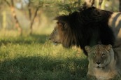 HOEDSPRUIT ENDANGERED SPECIES CENTRE