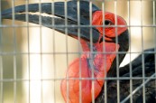 HOEDSPRUIT ENDANGERED SPECIES CENTRE